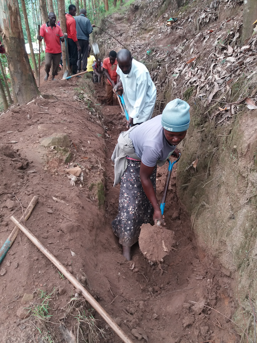 Ikamiro digging