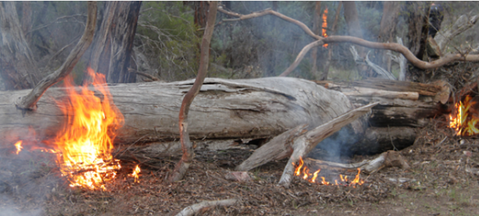 image of fire from Firesticks