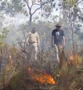 a slow burn of bushland