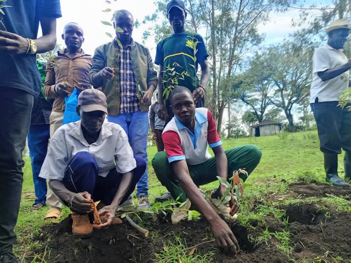 Community leaders planting trees together